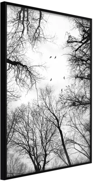 ARTGEIST Affisch med ram - Treetops Svart 40x60